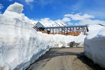 Manali Rohtang Pass & Manali City Tour